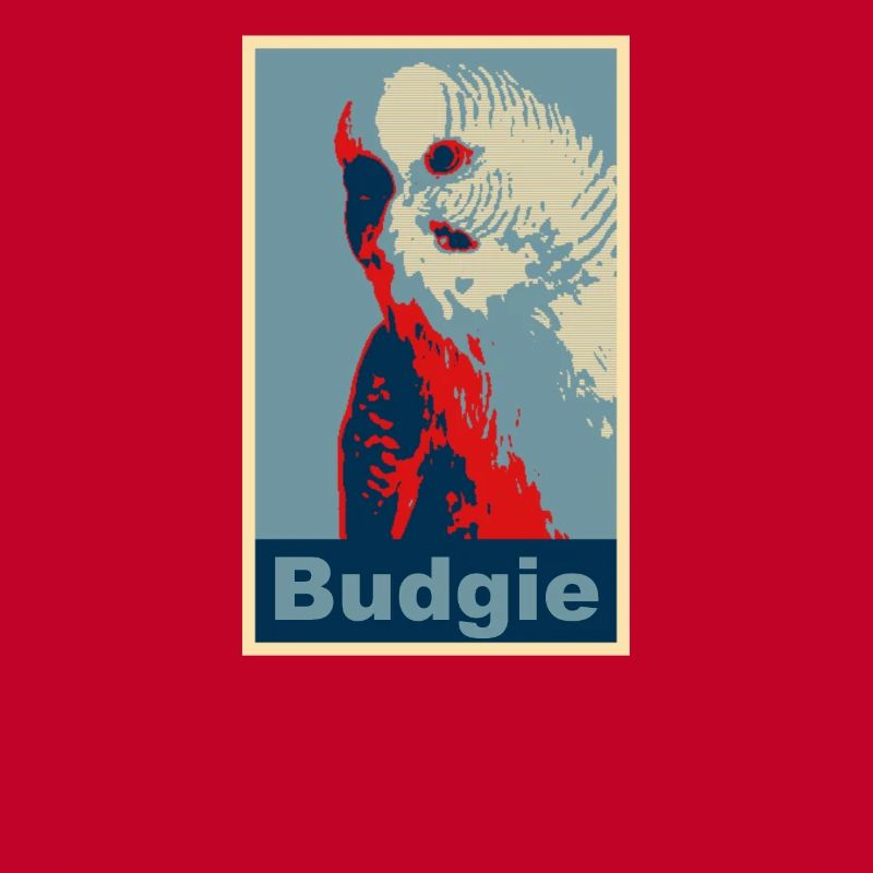 Perruche budgie image