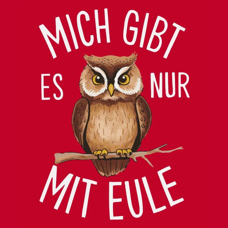 Nachteule Eule Eulen Vogel