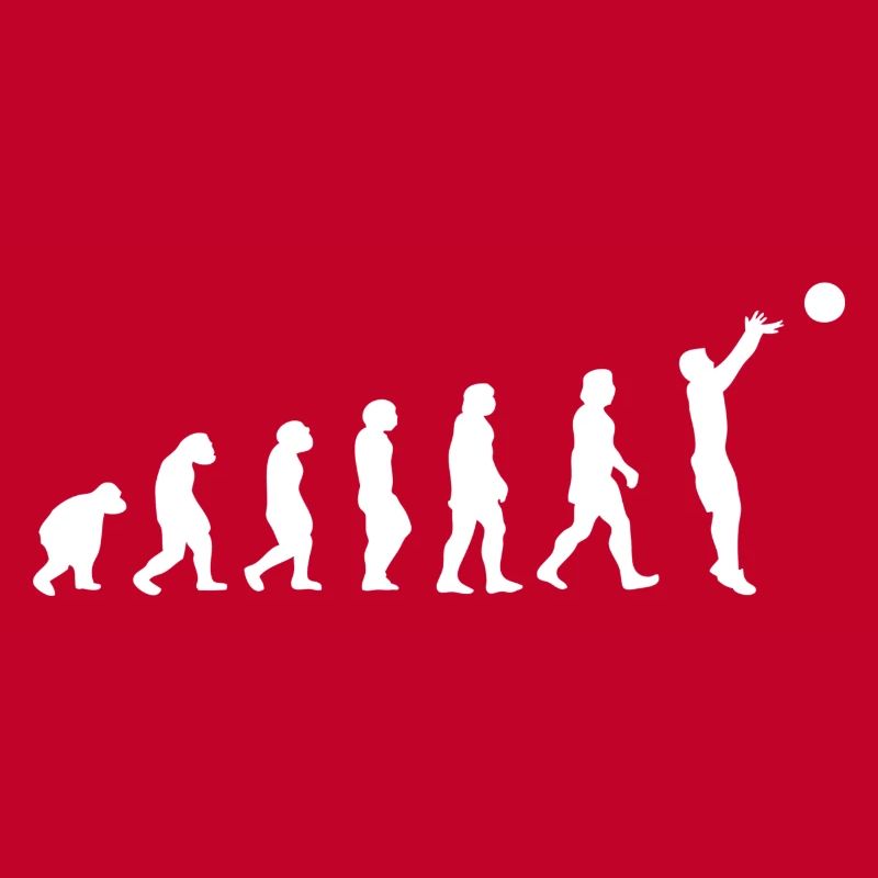Basket évolution