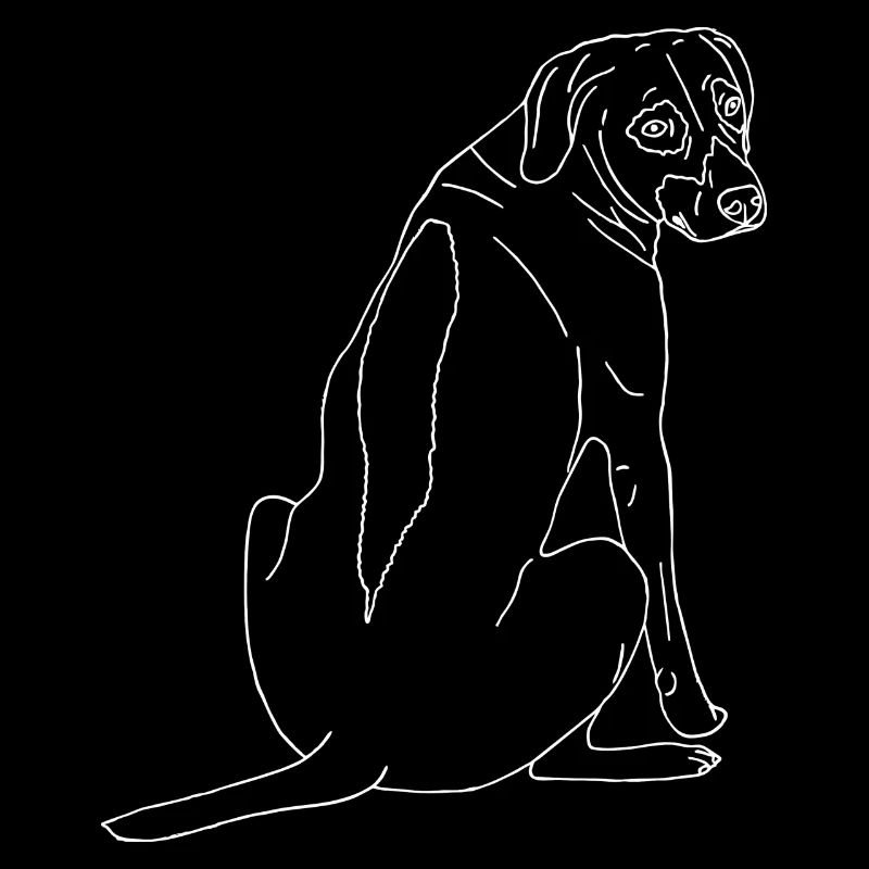Rhodesian Ridgeback