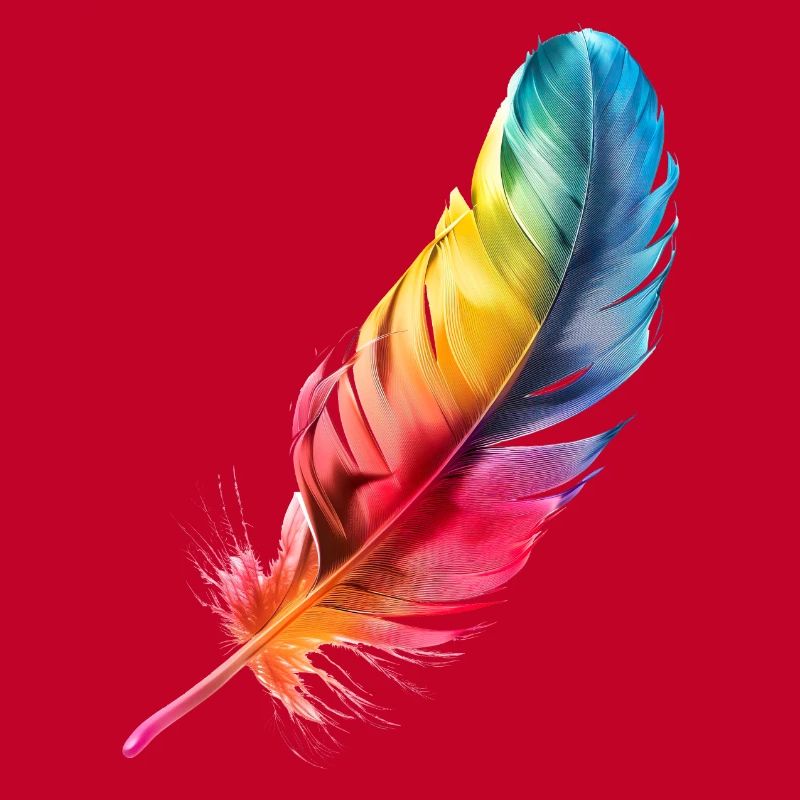 Bird feather: Lightweight with ingenious function