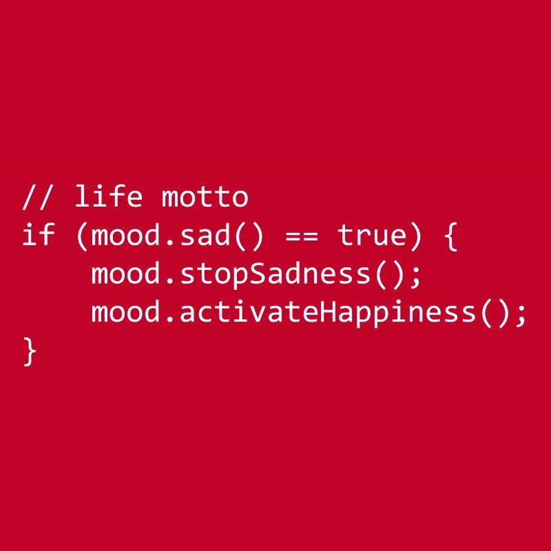 life motto for a programmer/informatiker