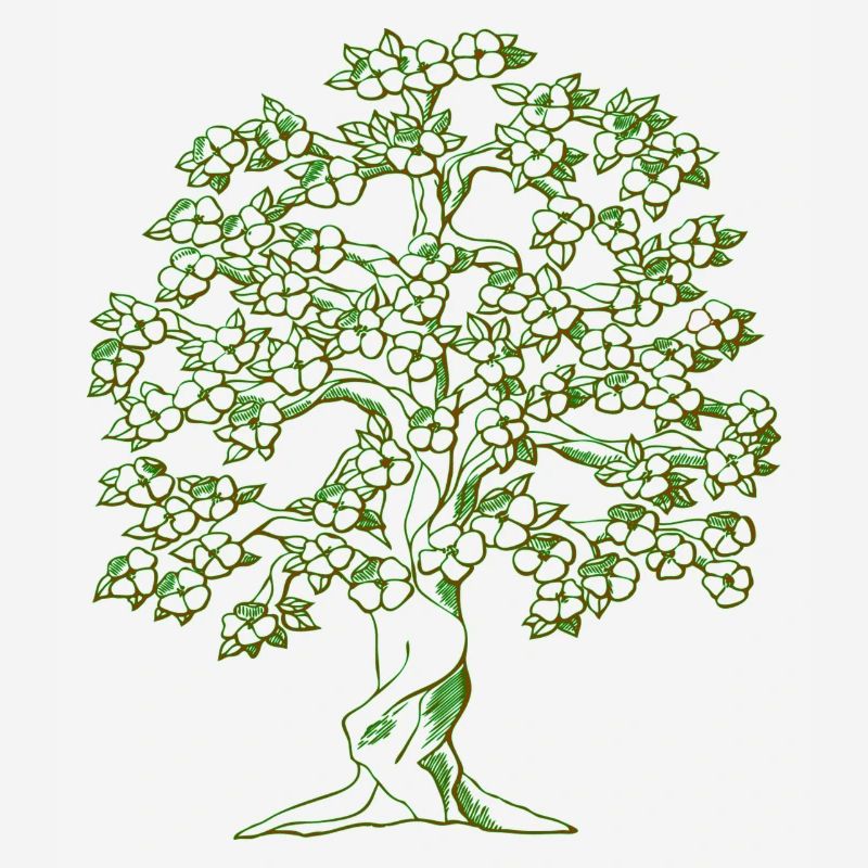 dessin d'arbre
