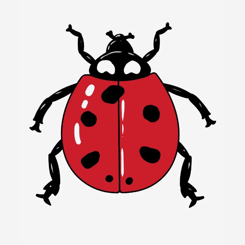 May Beetle Ladybug Lucky Charm Spring Easter