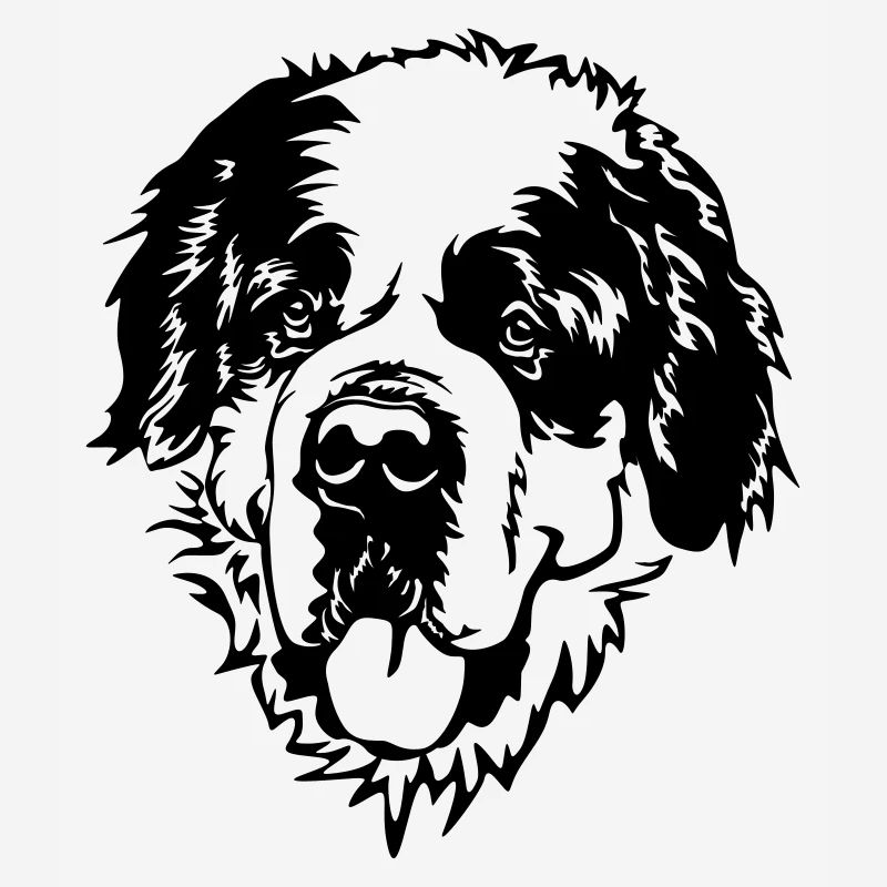 St. Bernard's Head