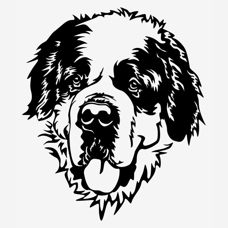 St. Bernard's Head