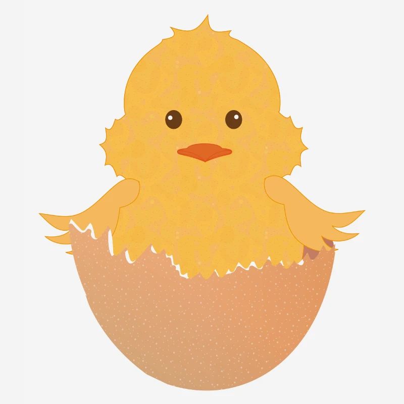 newly hatched chick in the eggshell