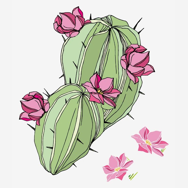 Cactus à fleurs