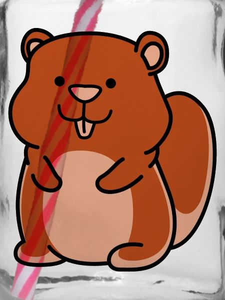 hamster