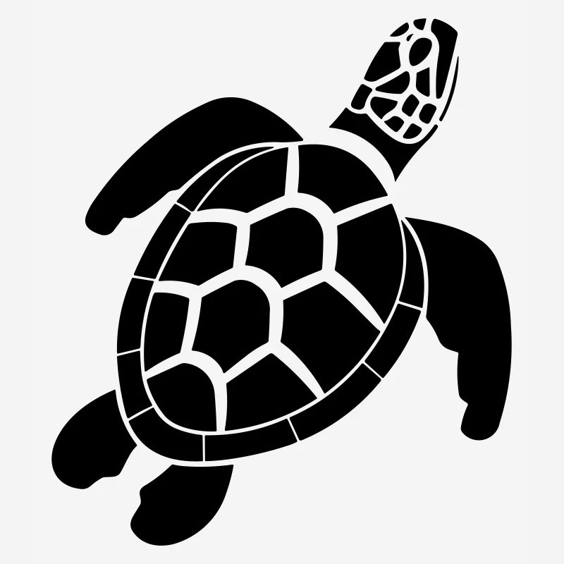 tortue