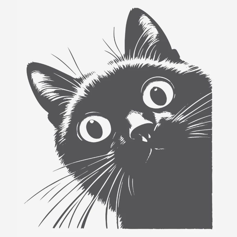 Chat noir