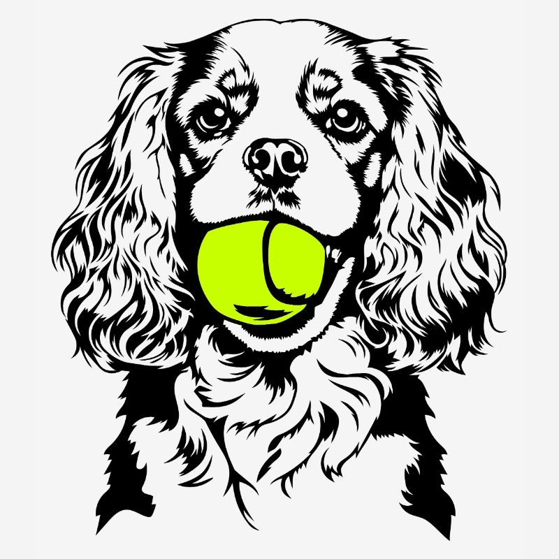 Cavalier King Charles Spaniel Ball Hunde Wilsigns