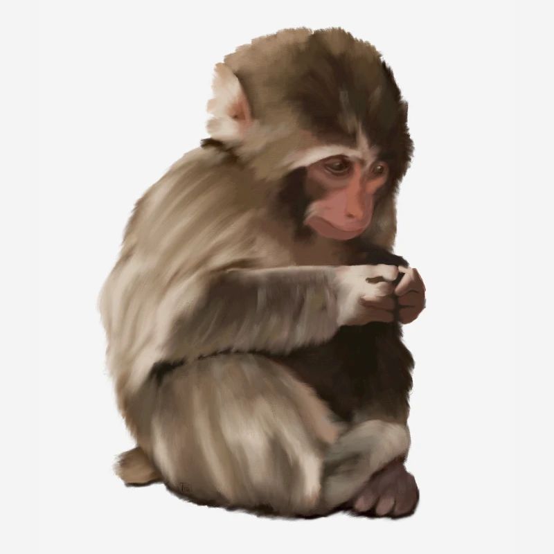 Punch - das einsame Äffchen