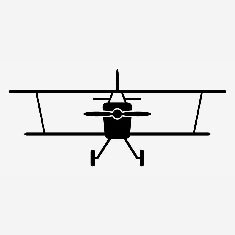 Fly a plane