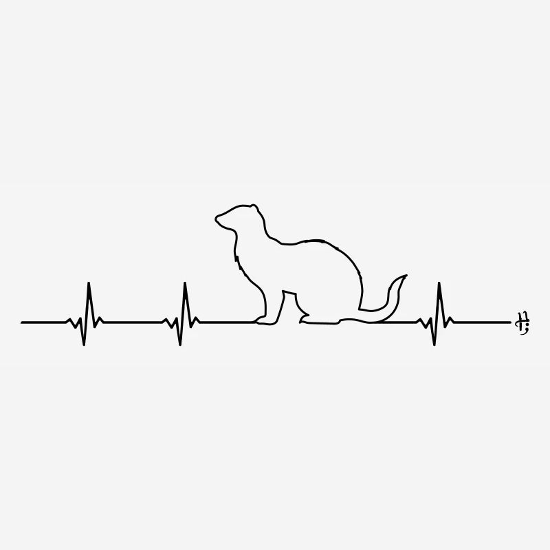 Frettchen Herzlinie EKG