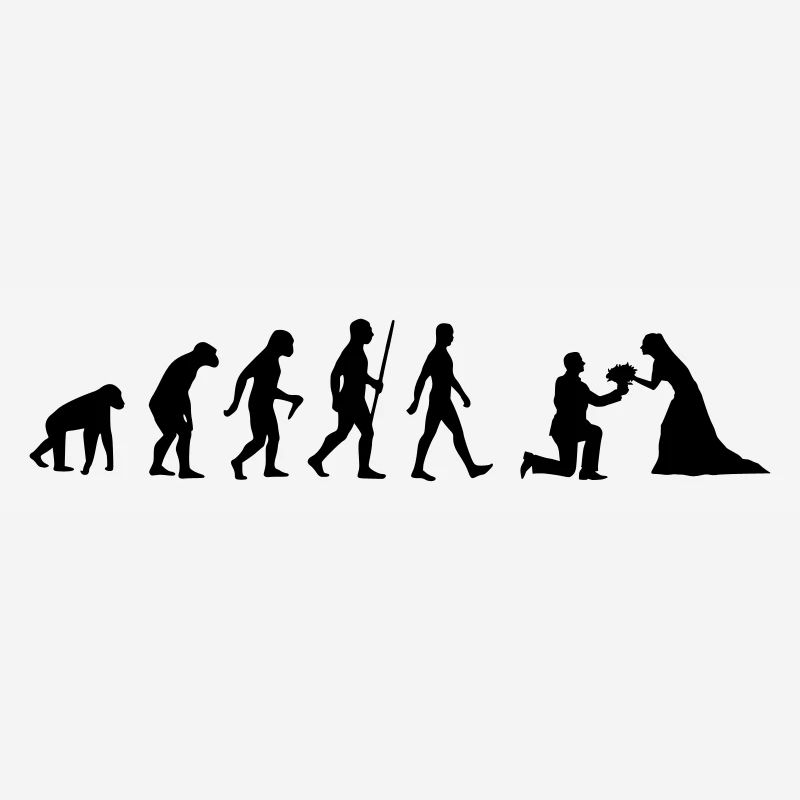 Evolution bride and groom bride proposal to marry wedding