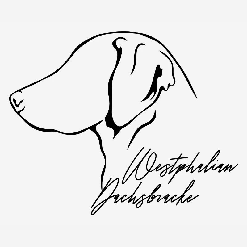 WESTPHALIEN DACHSBRACKE Profil Chiens Wilsigns