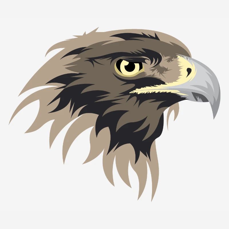 Eagle head illustration golden eagle icon icon