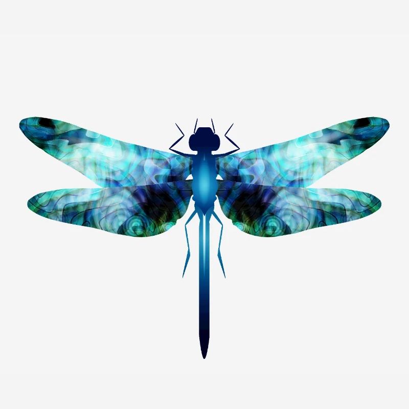 Libellule irisée dans les tons bleu-vert
