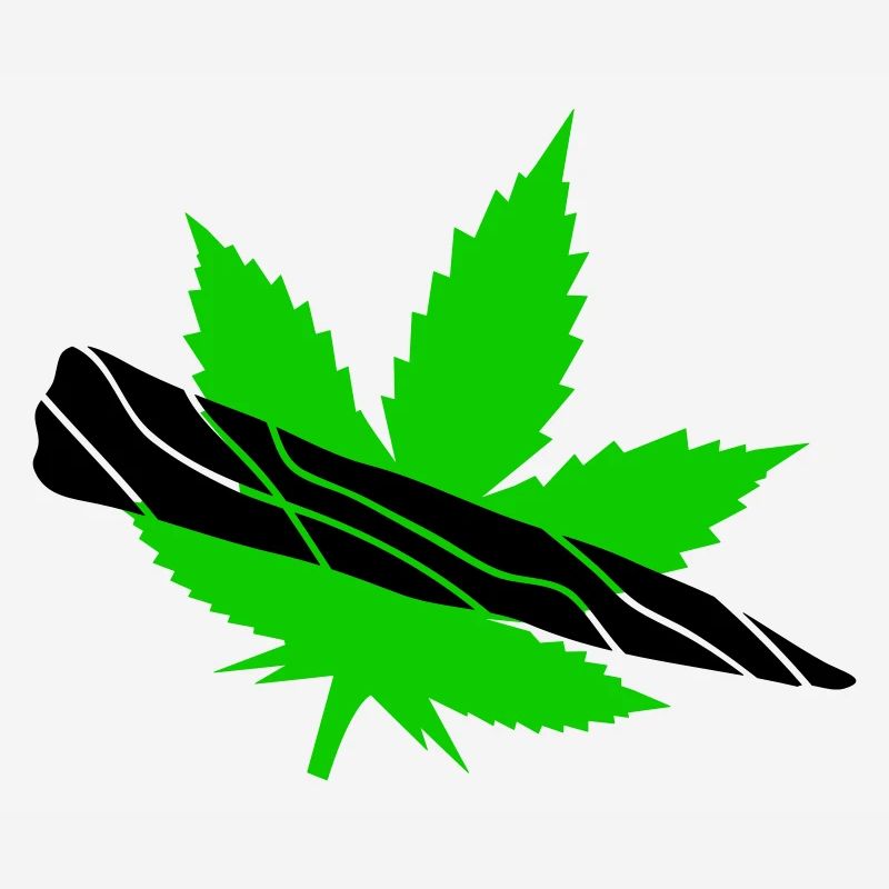 Silhouette de feuilles vertes