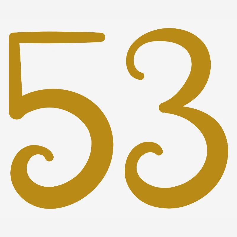 53