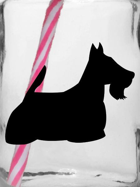 Schottischer Terrier