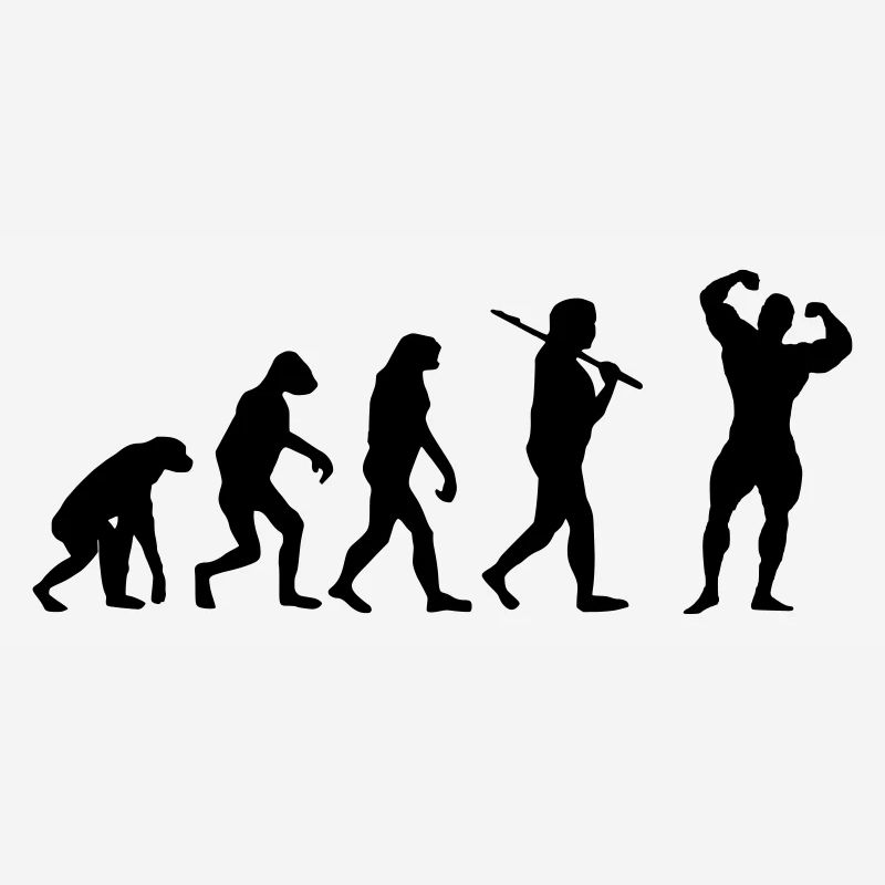 Fitness Evolution