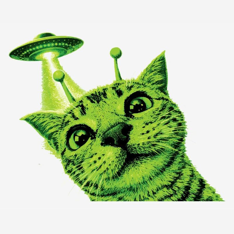 OVNI Alien Cat