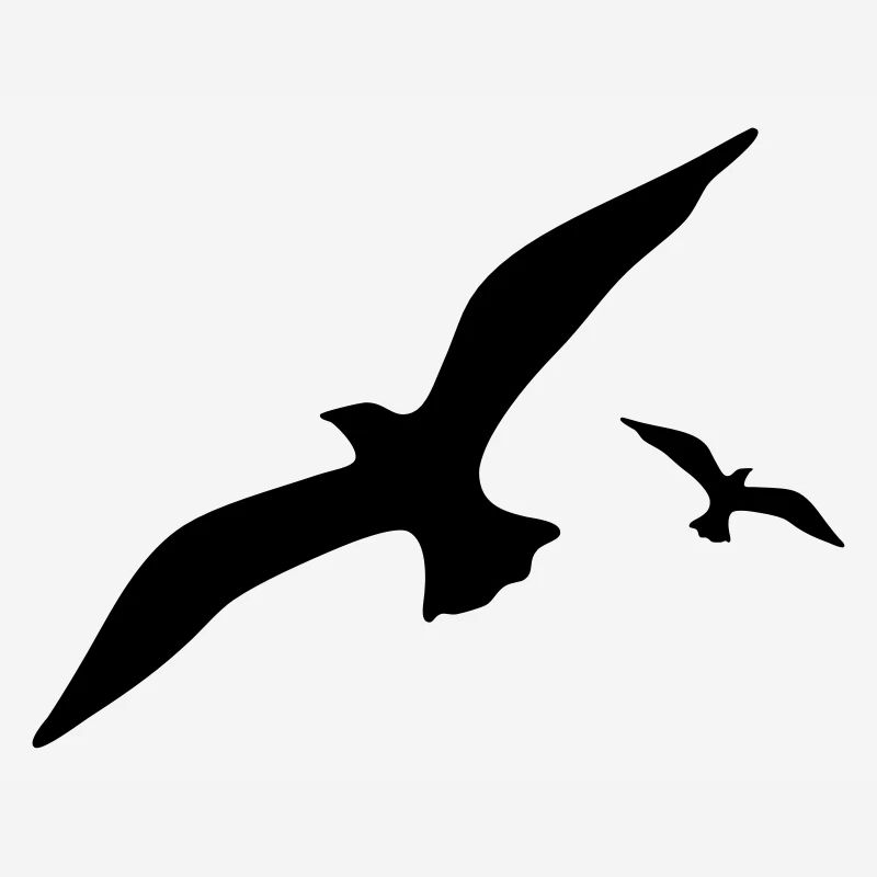 gull