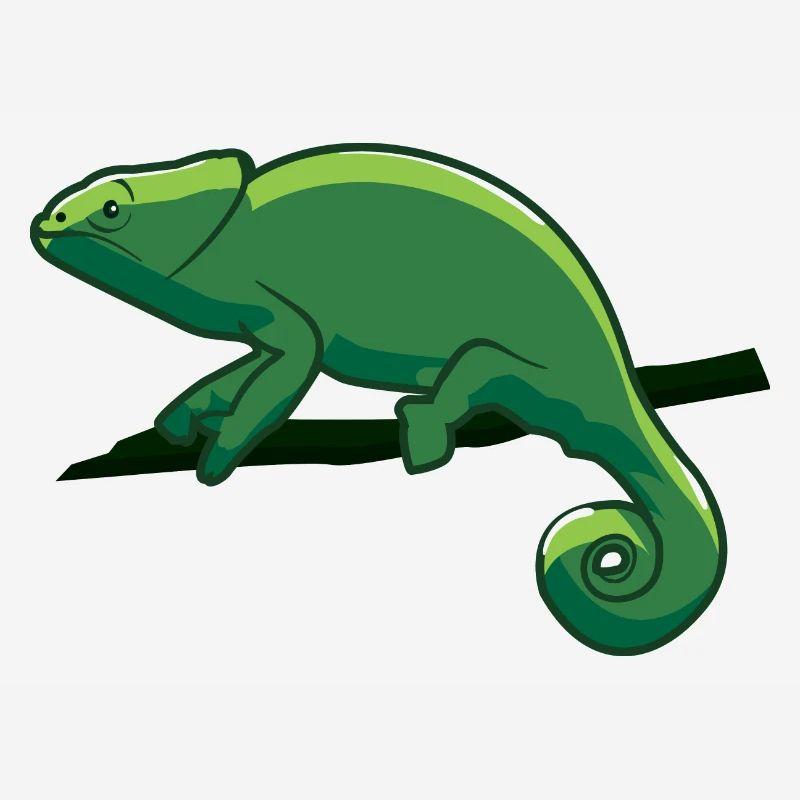 Caméléon vert