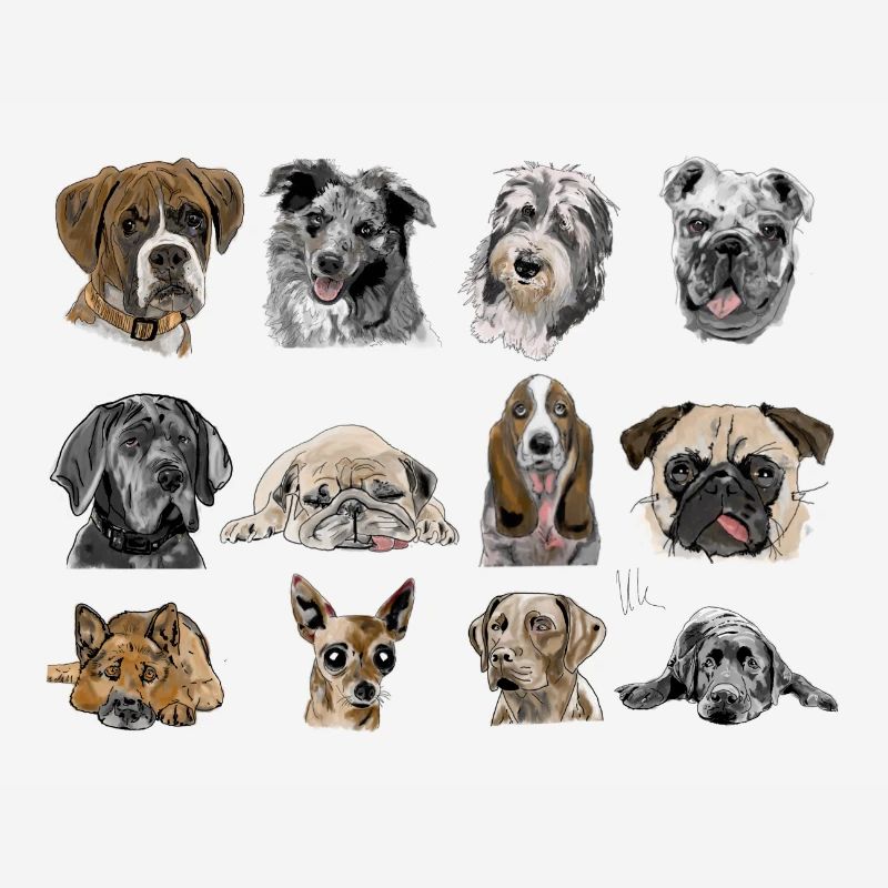 Chiens