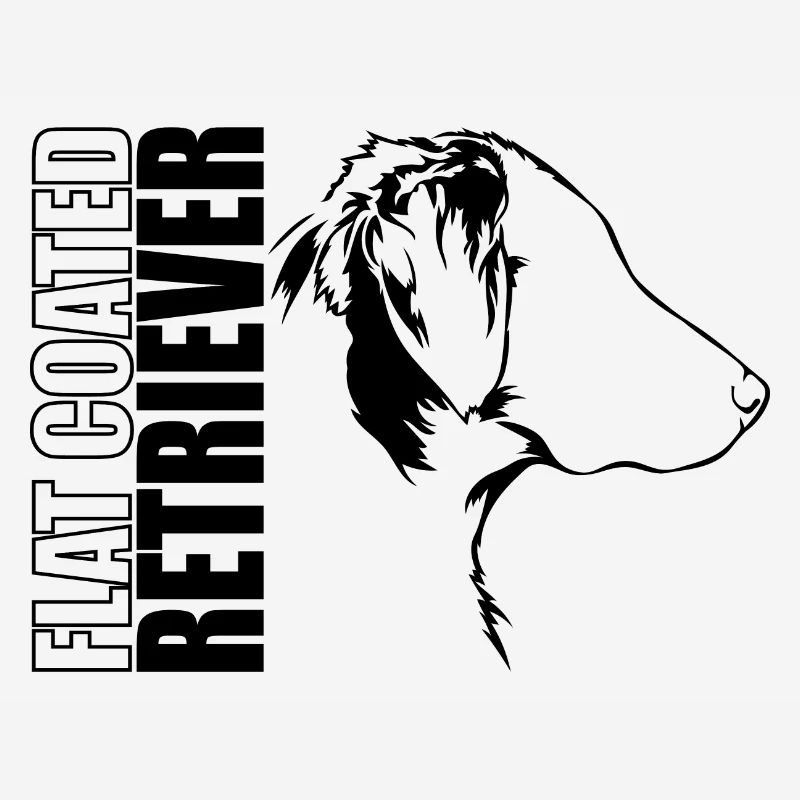 FLAT COATED RETRIEVER Profil Chiens Wilsigns
