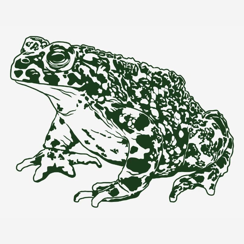 Toad Frog Graphic Aquatic Amphibian Frog Lovers