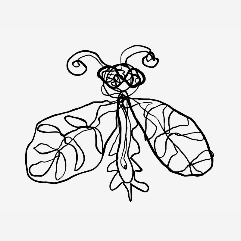 Insecte