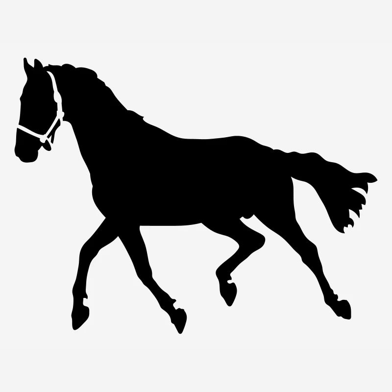 Pferd