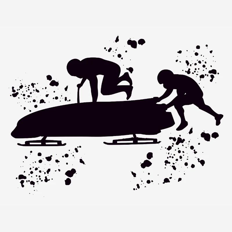 Bobsleigh Two-man Bobsleigh