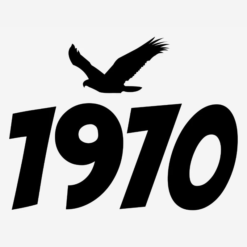 1970's Vintage Eagle Graphic