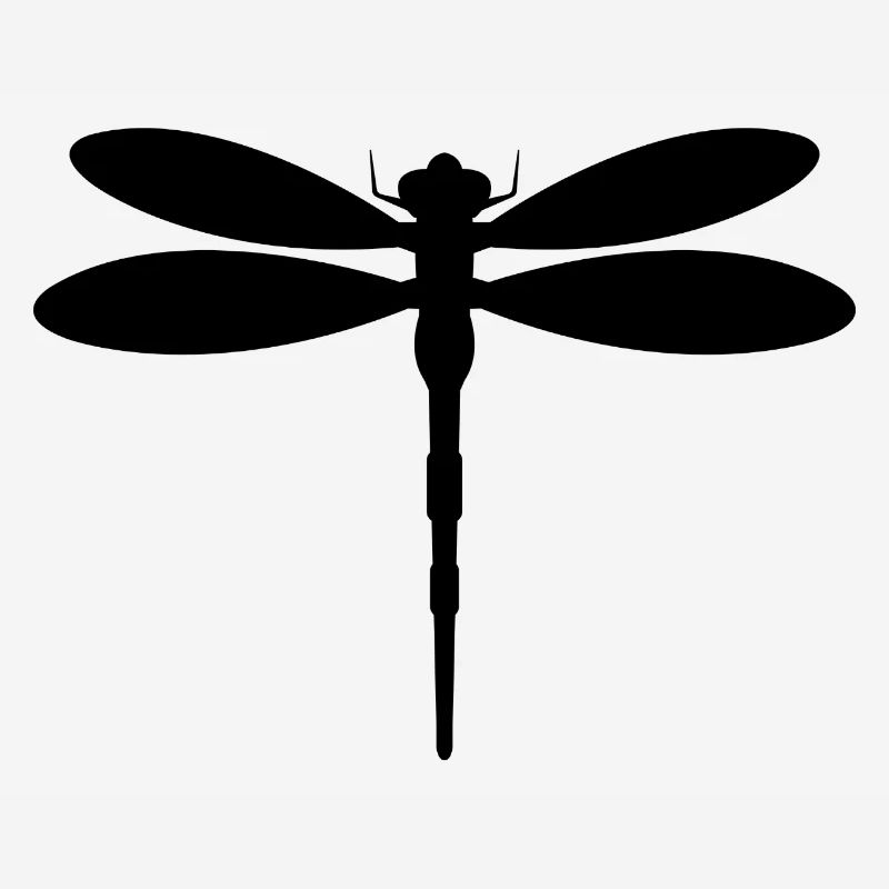 Libellule