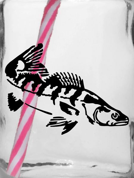 Zander