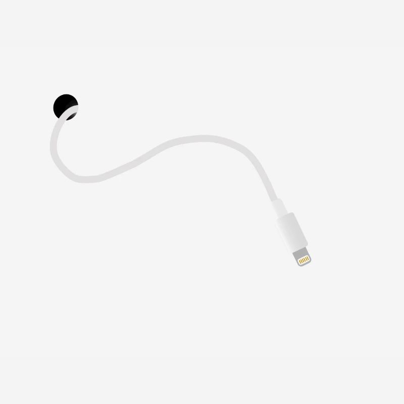 iPhone câble