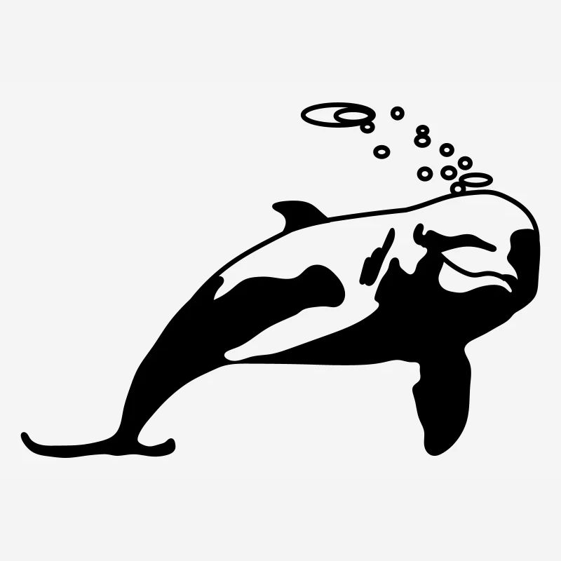 Dolphin