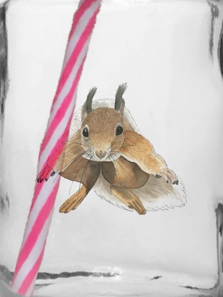 Eichhörnchen springen squirrel