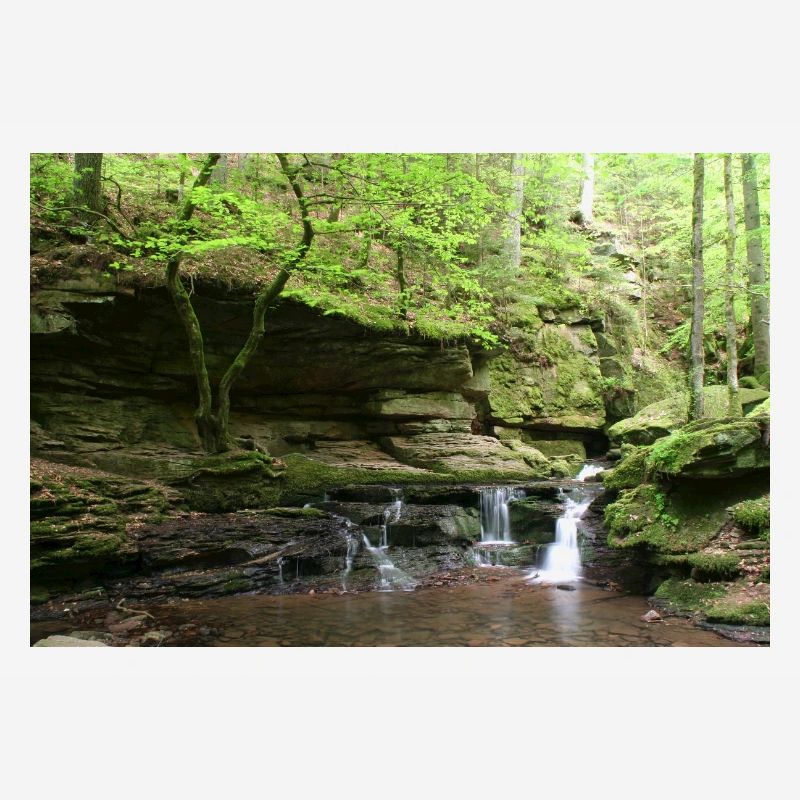 Forêt-Noire Monbach
