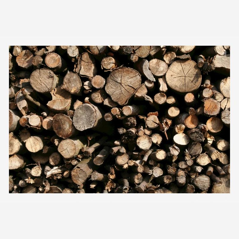 ROUND TIMBER