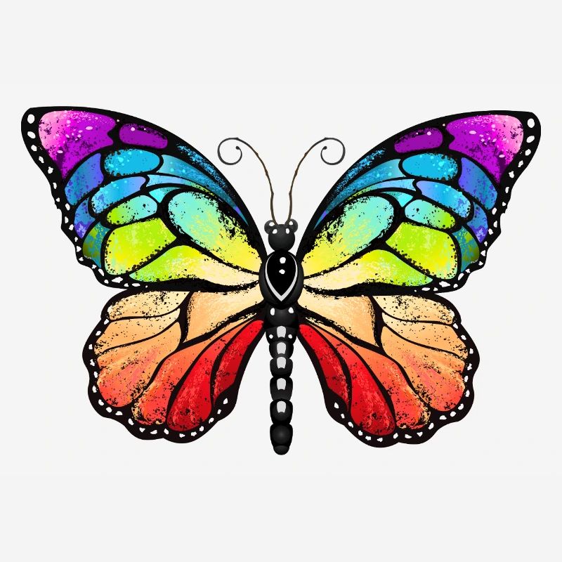 Rainbow pride butterfly