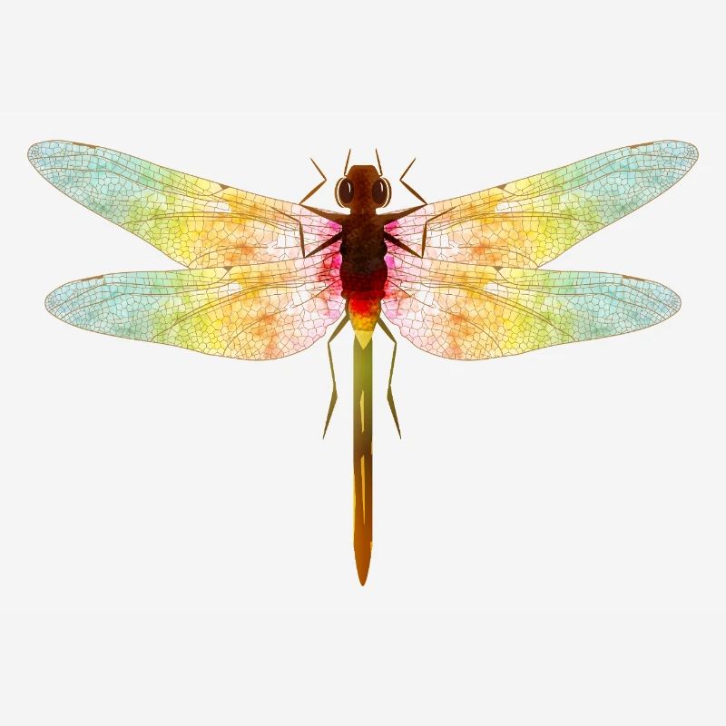 Iridescent Dragonfly – Filigree Insect Motif