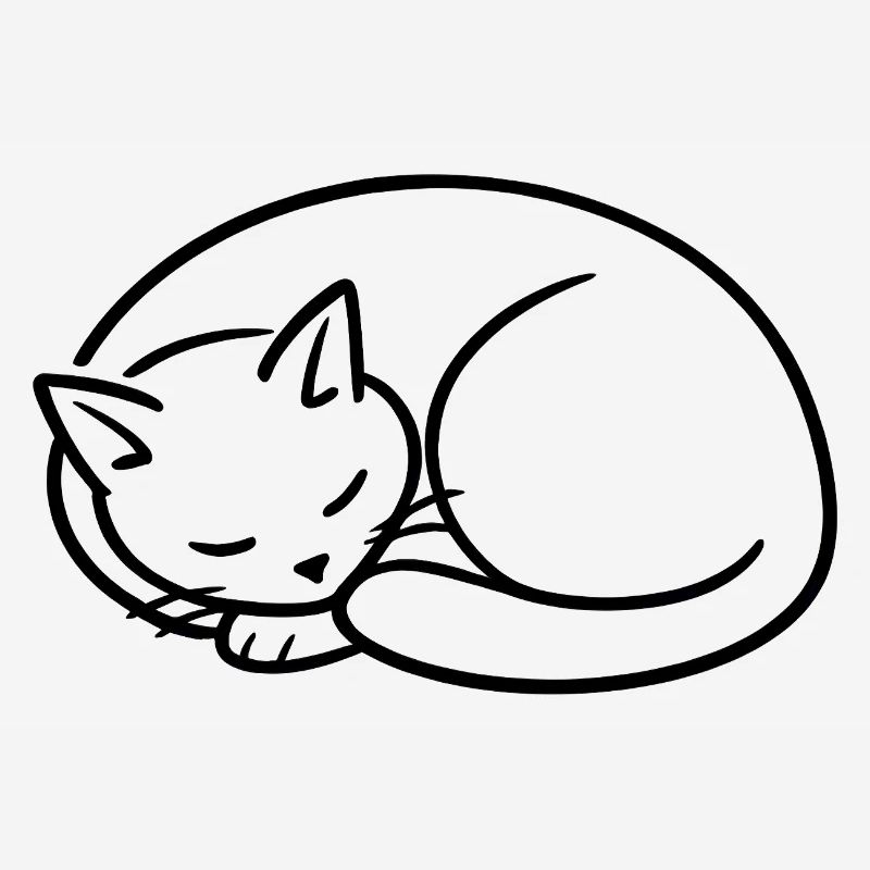 Sleeping Cat Line Study