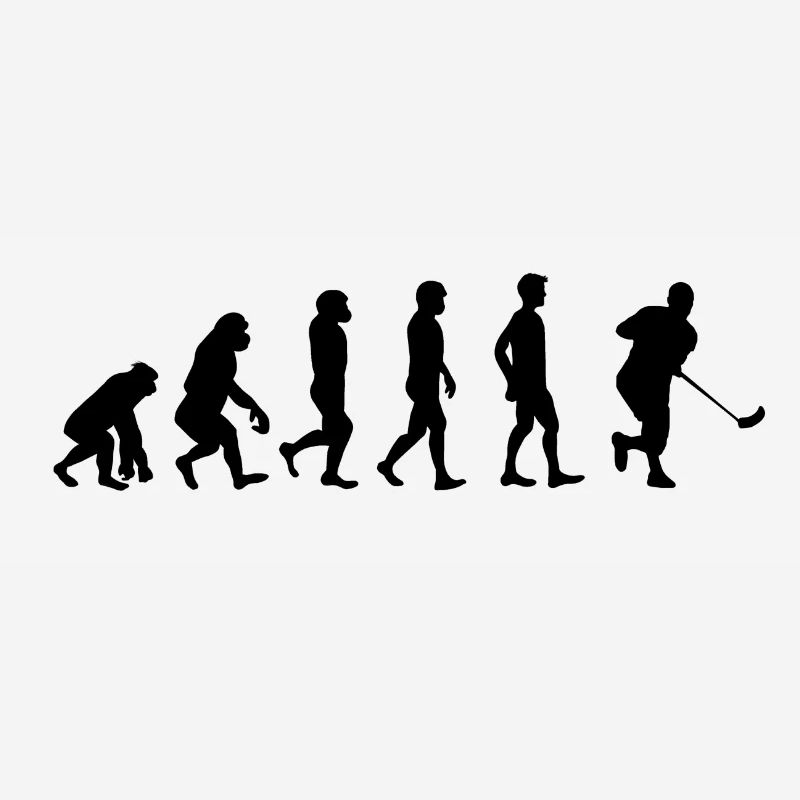 Unihockey Evolution
