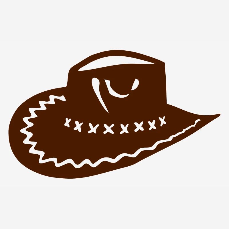 cowboy hat 2