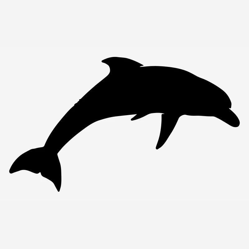 silhouette de dauphin